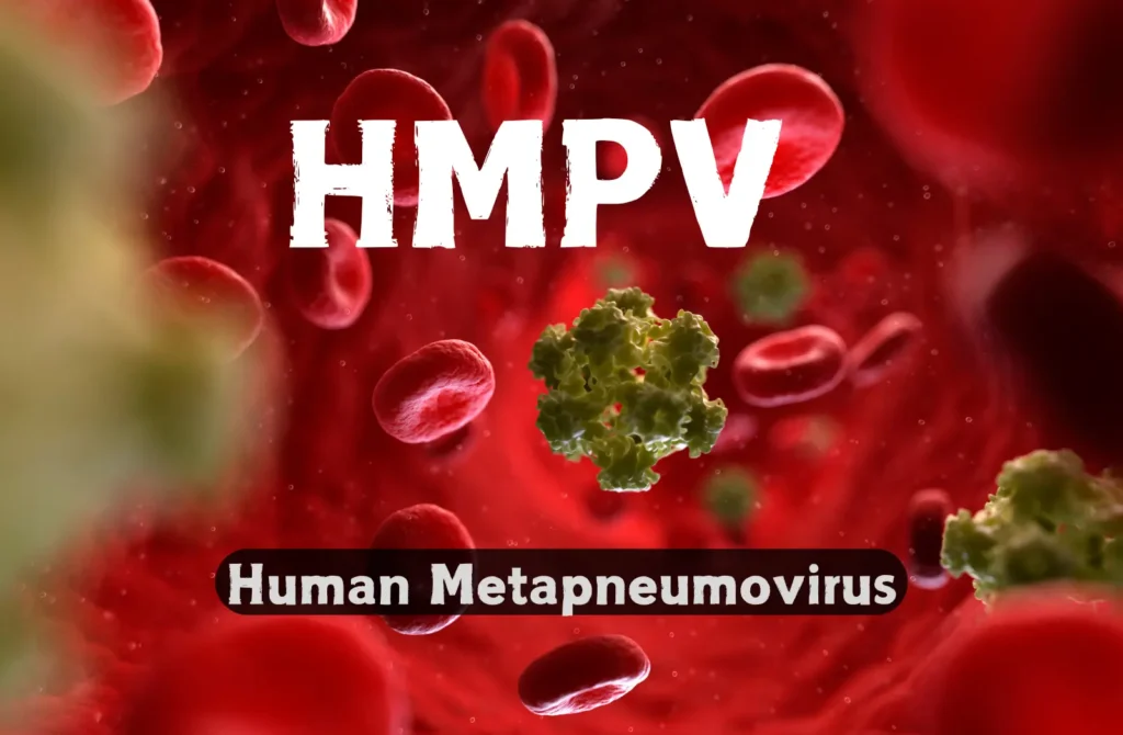HMPV Human Metapneumovirus