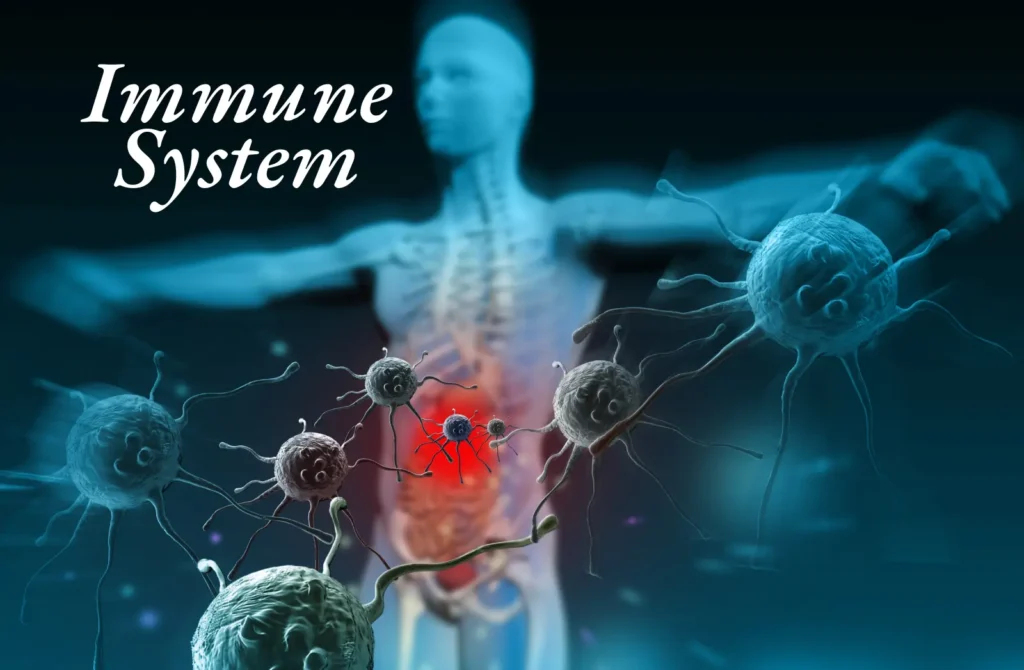 Immune System