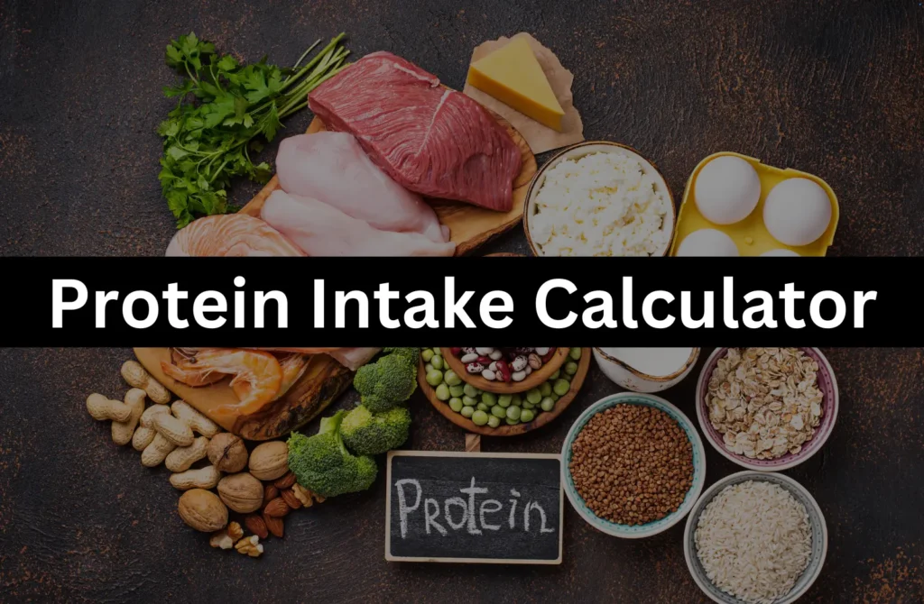 Protein Intake Calculator