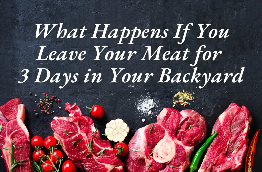 Raw meat left out