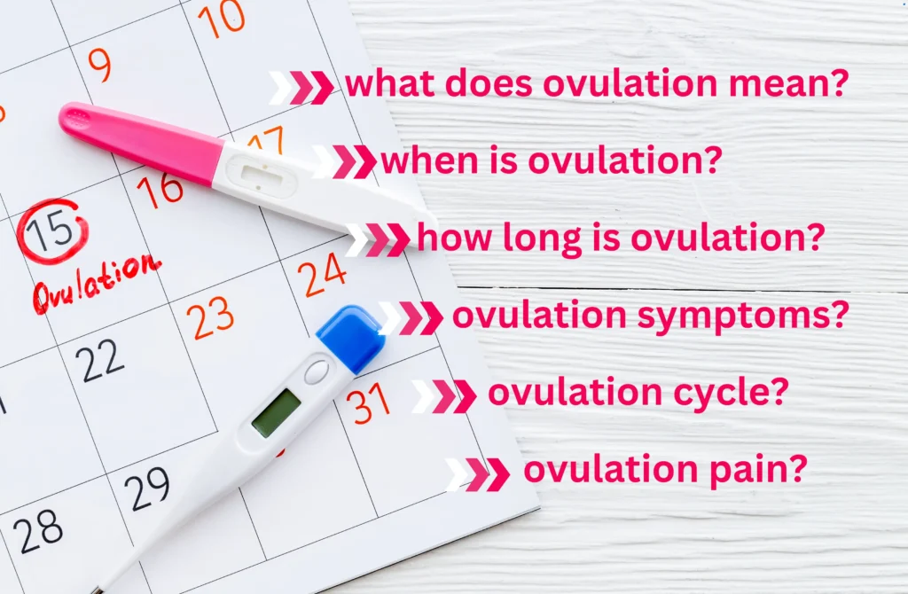 what does ovulation mean? when is ovulation? how long is ovulation? ovulation symptoms? ovulation cycle? ovulation pain?